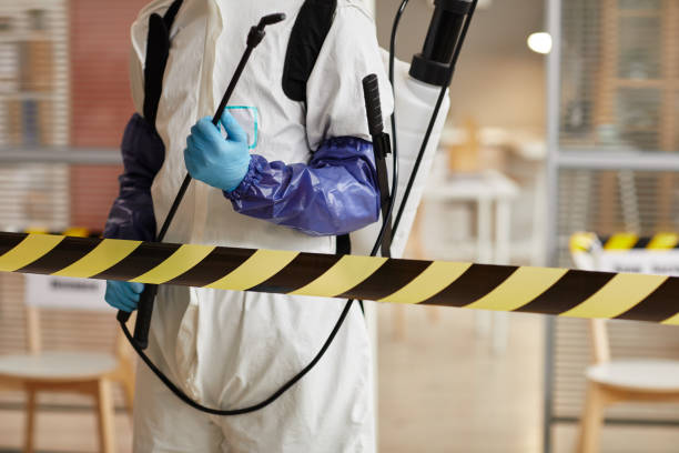 Professional Sewage Cleanup technician working in Red Bud, IL